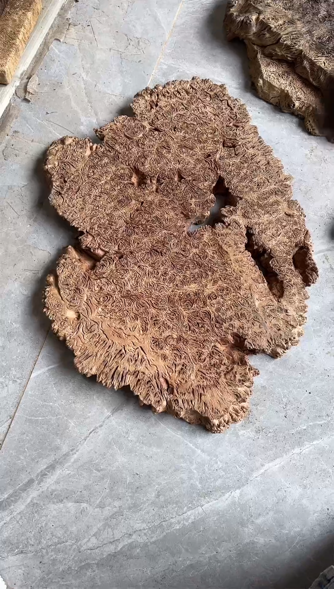 【闪购商品】木侘寂风红栗木干泡台茶盘