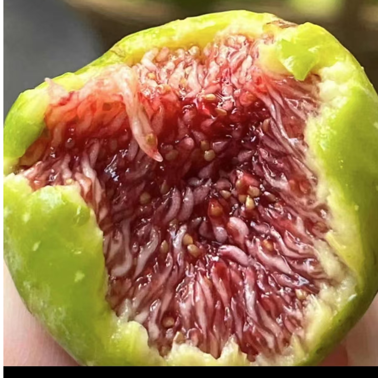 2盒【无花果】软糯甘甜，果肉细腻多汁 12颗大果