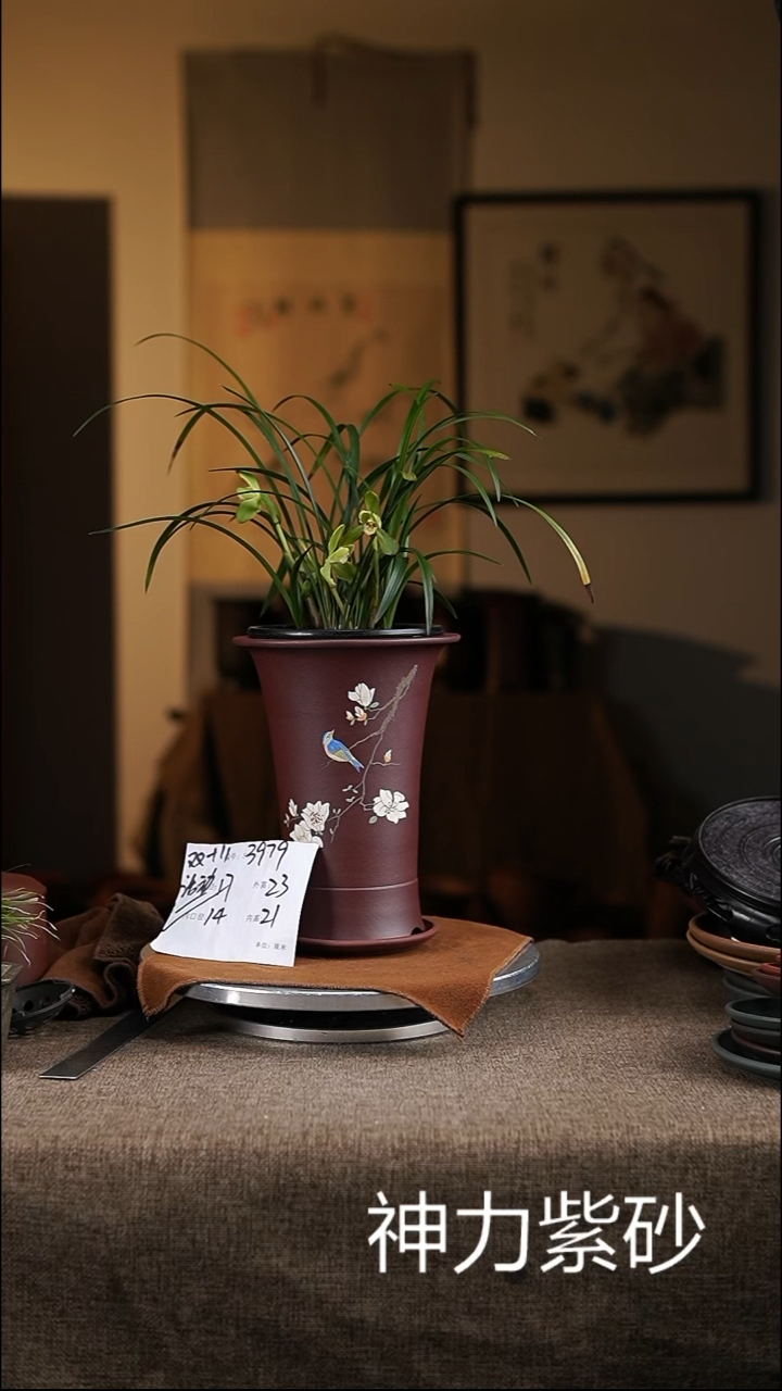 【闪购商品】紫砂花盆紫砂花盆3979+z