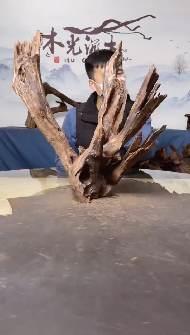 【闪购商品】A919木光沉木木光沉木