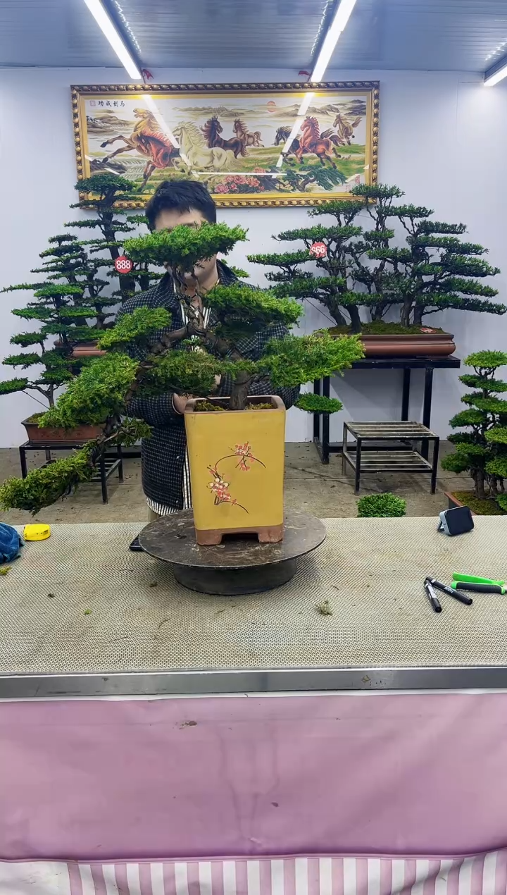 一物一拍，所见即所得