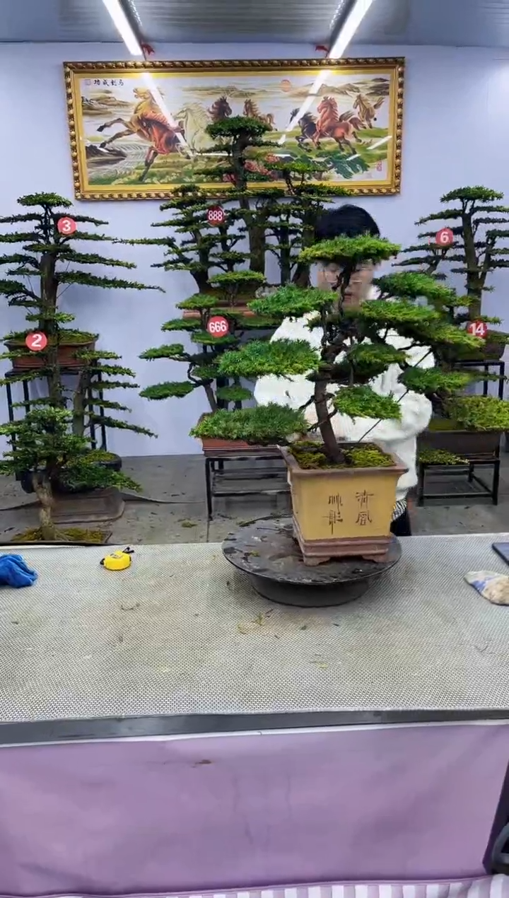 【闪购商品】啊啊啊啊