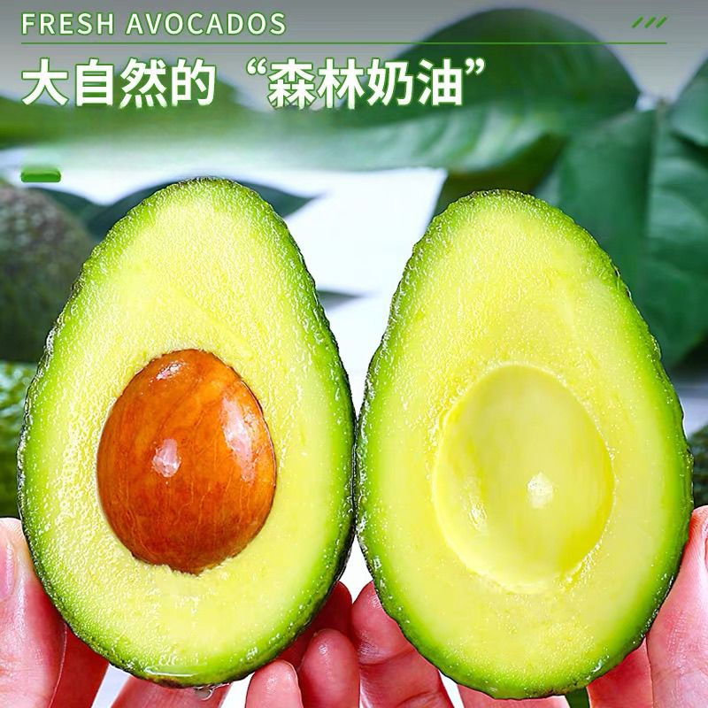 秘鲁进口牛油果新鲜健康辅食营养哈斯牛油果坏果包赔