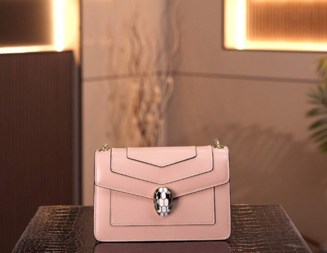 23（全新未拆封）轻奢时尚潮流气质单肩斜跨女士包包 19*8*13.5cm