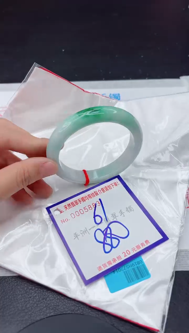 未镶嵌手镯翡翠111111