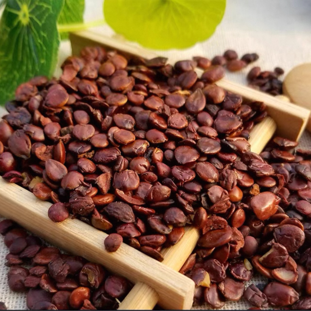 琳琳山货现收山货酸枣仁