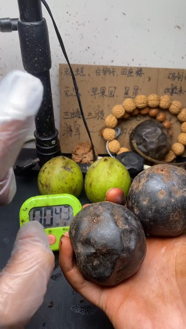 四大名核·之一四座楼