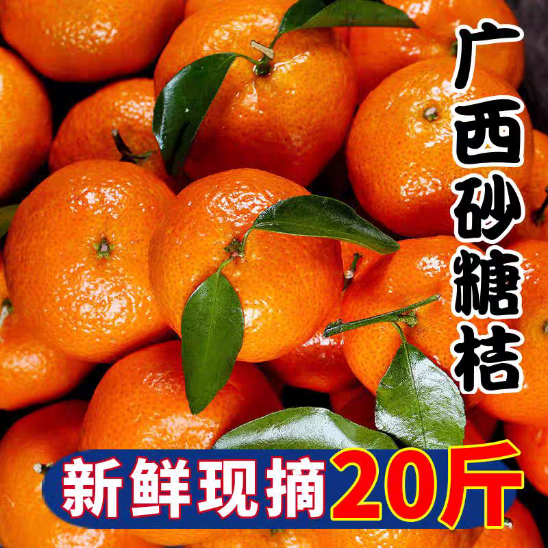 【顺丰快递】广西砂糖桔20斤新鲜水果沙糖橘子整箱包邮纯甜无籽年货