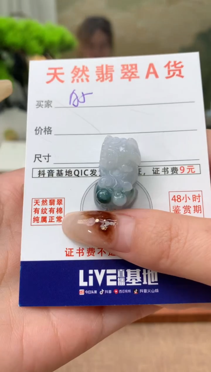 【闪购商品】翡翠颈饰未镶嵌天然A货翡翠挂件