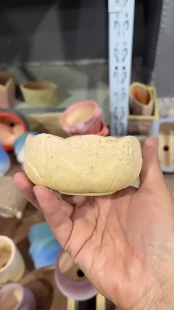 【闪购商品】红陶8*4