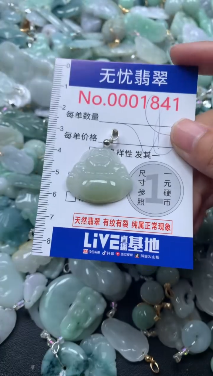 颈饰未镶嵌翡翠1841