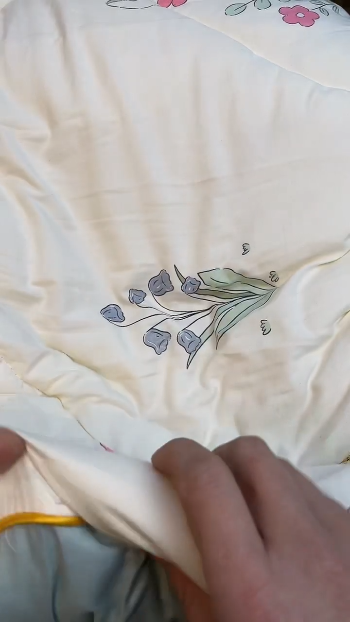 棉花丽如图所示 老崔精选