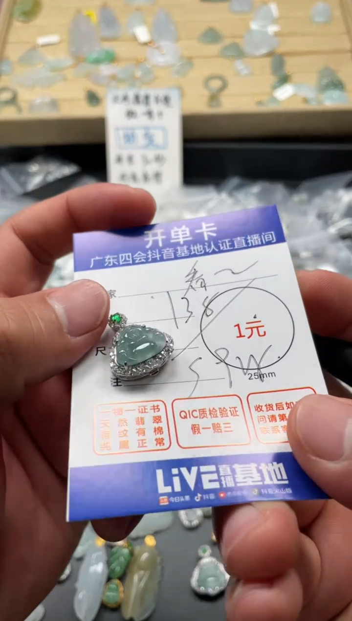 颈饰未镶嵌翡翠看***海挂件