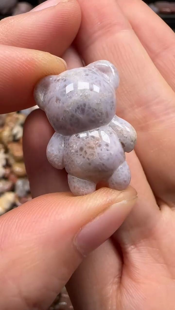 【闪购商品】硅化珊瑚（珊瑚玉）颈饰未镶嵌409