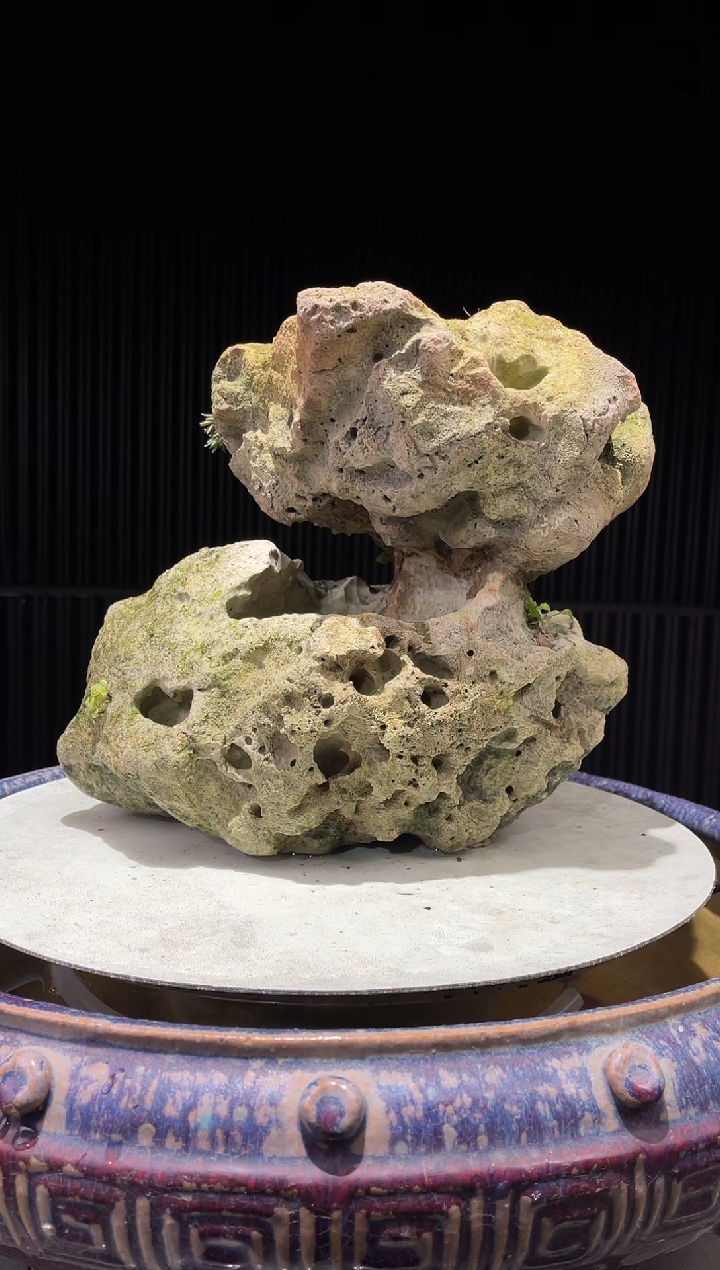 魁造型吴定石一物一拍专属