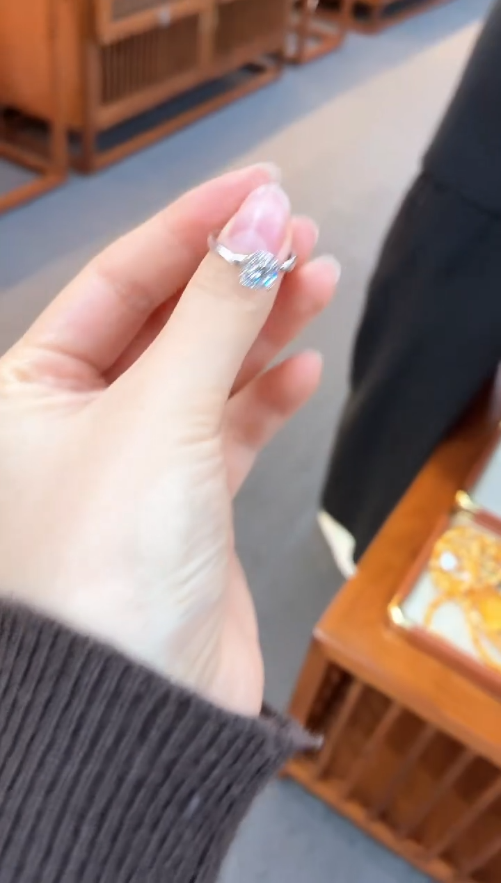 【慧慧甄选】高端轻奢多样性发货SM3770S