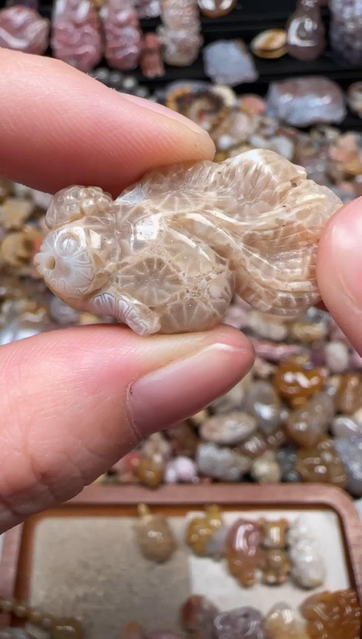 颈饰未镶嵌硅化珊瑚（珊瑚玉）681