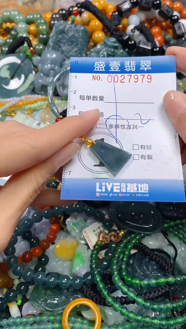 颈饰未镶嵌翡翠闪购0027979