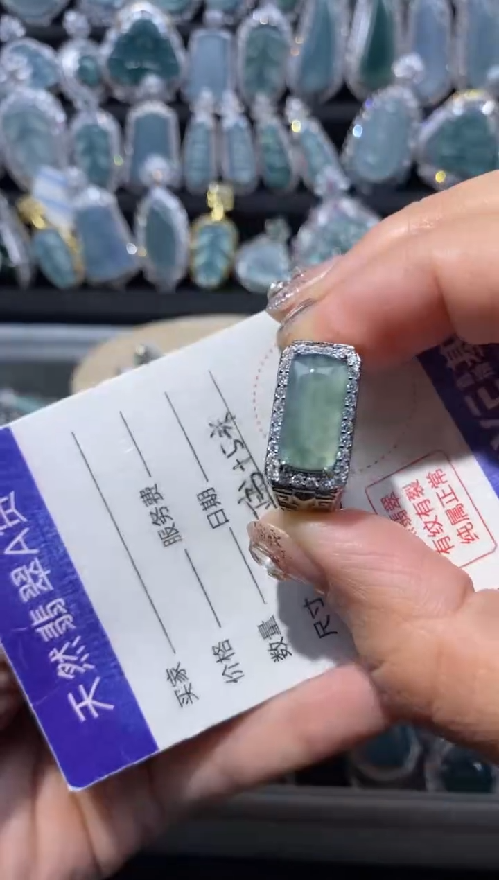 【闪购商品】翡翠颈饰未镶嵌翡翠