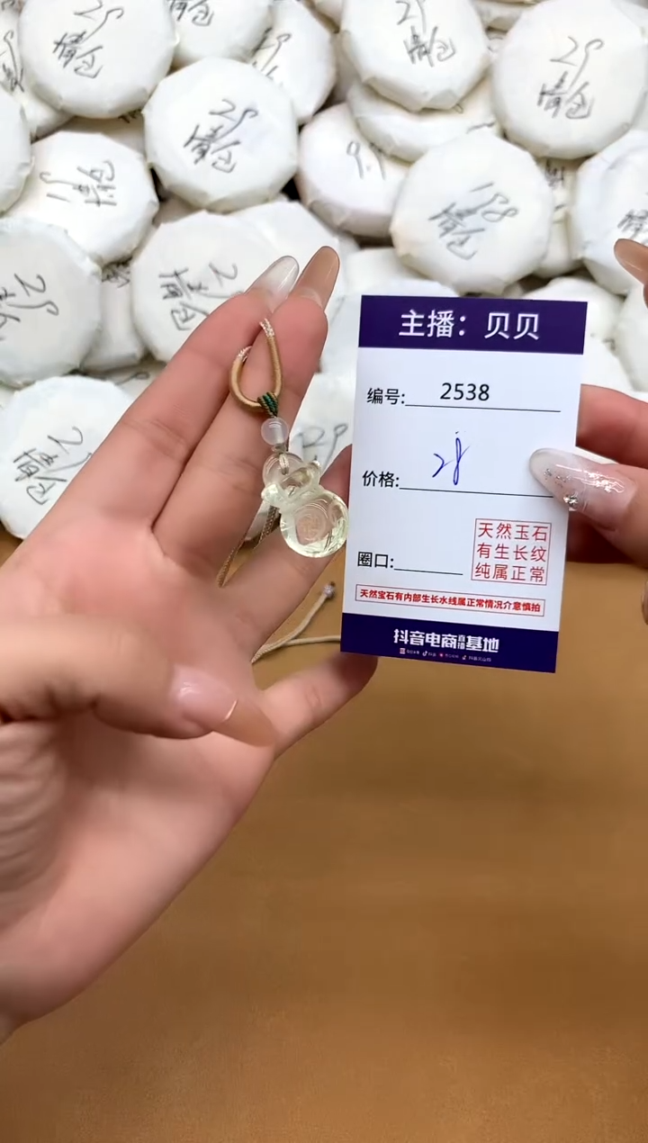 颈饰未镶嵌水晶2538