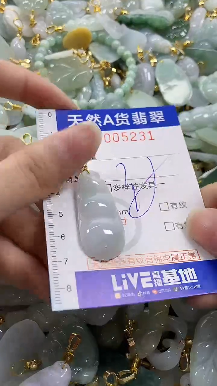 颈饰未镶嵌翡翠纯天然货翡翠