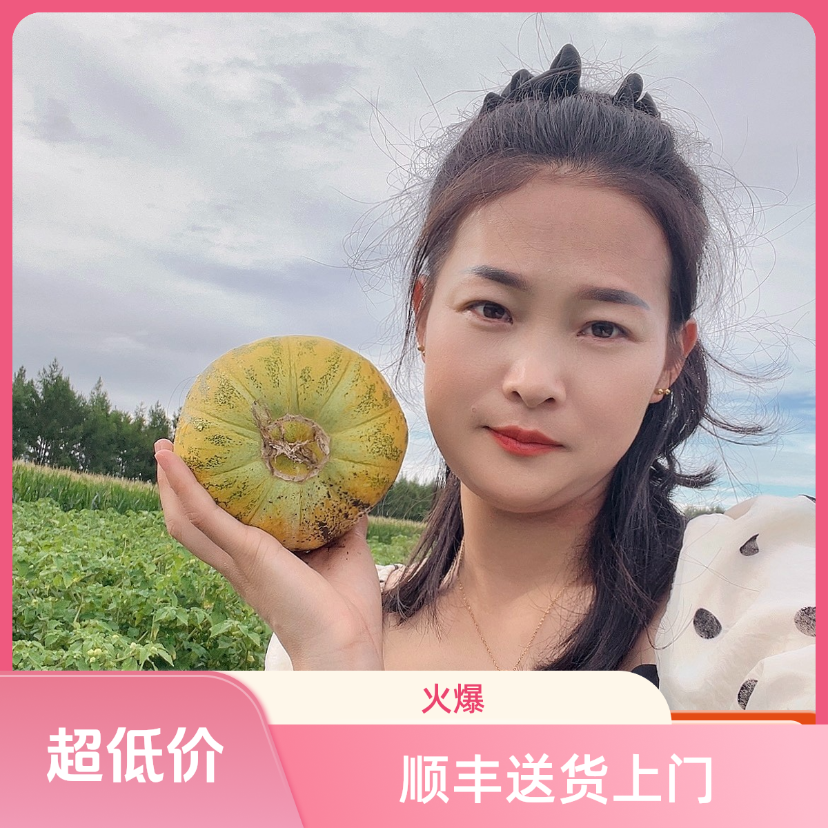 （顺丰到家）黑龙江现摘香瓜八里香甜瓜