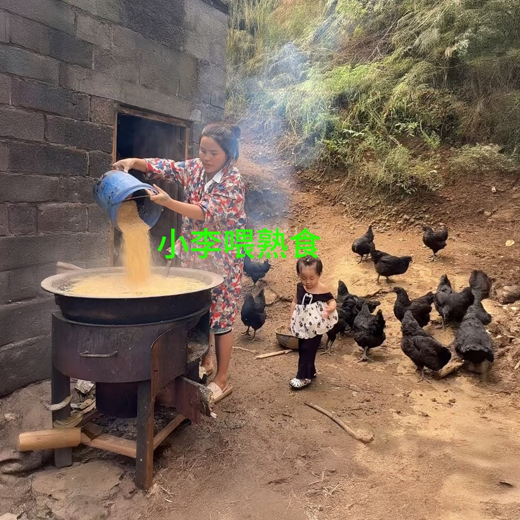 云南高山散养黑毛乌骨鸡土鸡（顺丰冷链包邮）