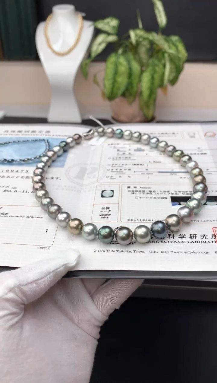 【闪购商品】海水珍珠颈饰银S925镶嵌海水大溪地珍珠项链9-12mm