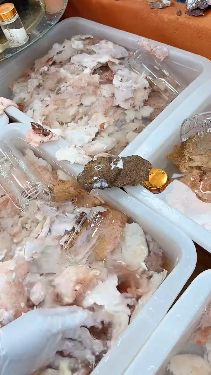 有机玻璃靜*楓长白山石太岁