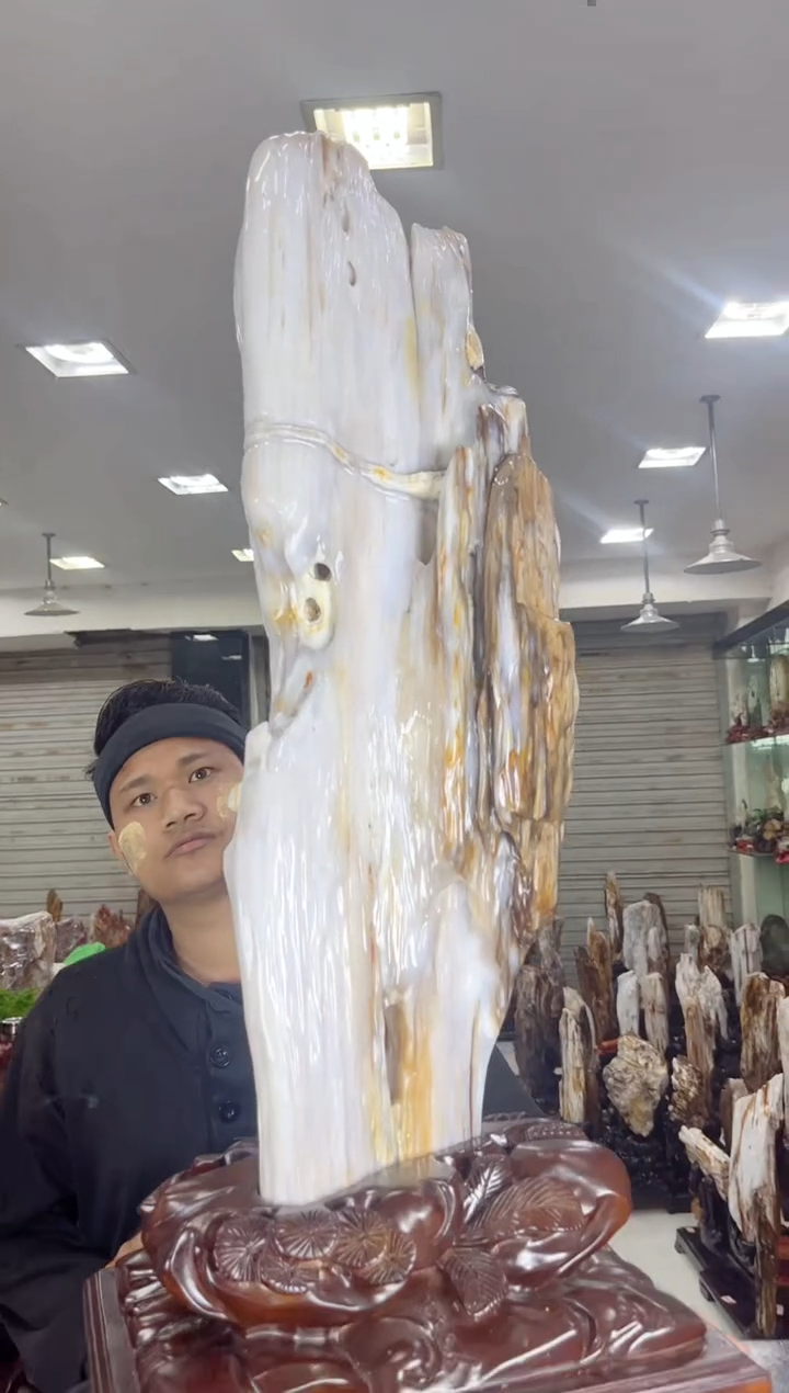 【闪购商品】硅化玉珠宝奇石未镶嵌缅甸天然树化玉