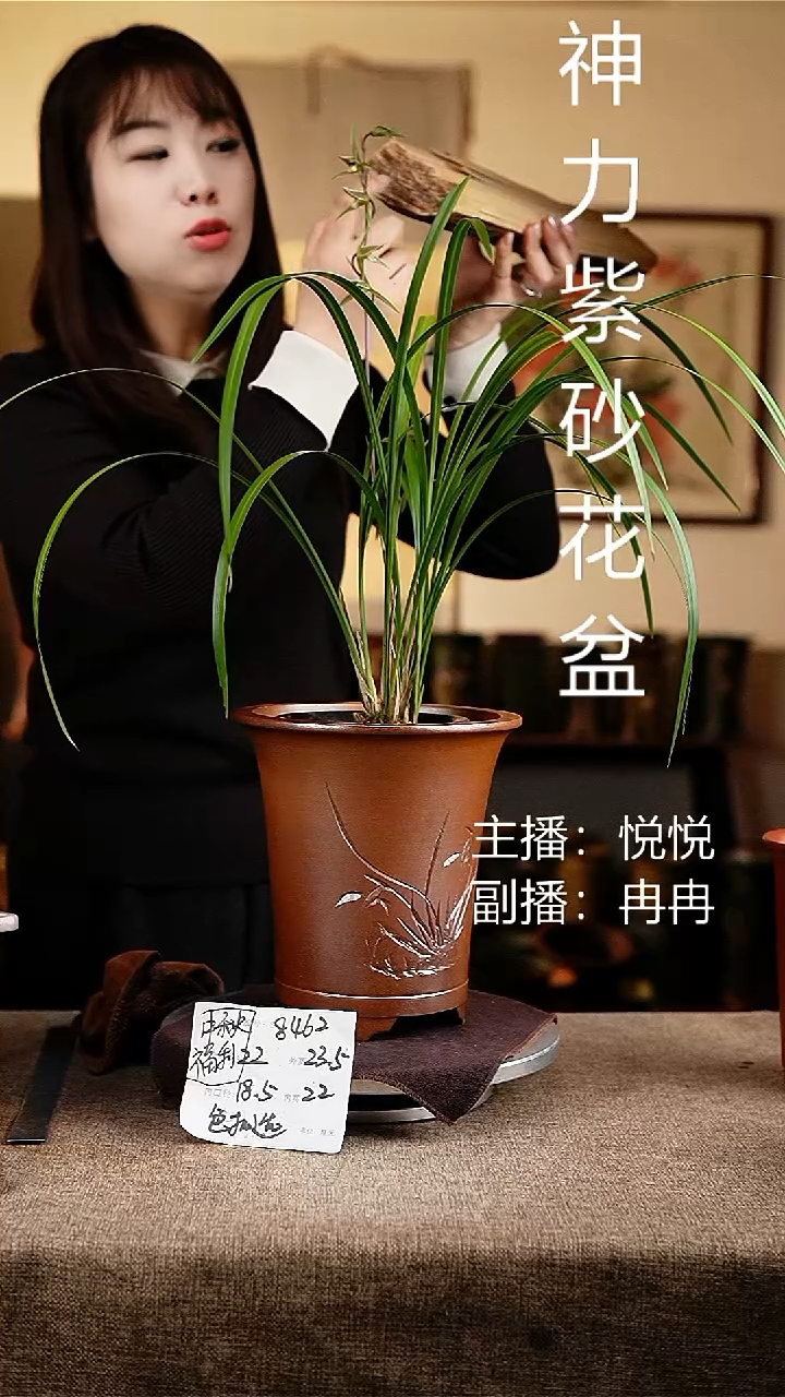 紫砂花盆花卉工艺8462