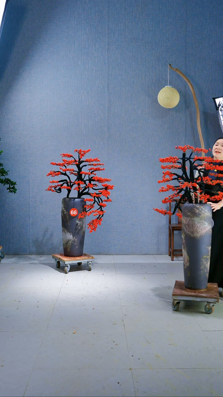 无花朵哲****o66号盆链接