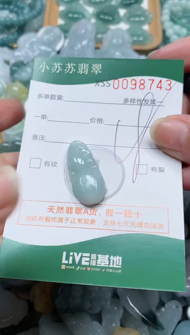 【闪购商品】翡翠颈饰未镶嵌闪购商品0098743