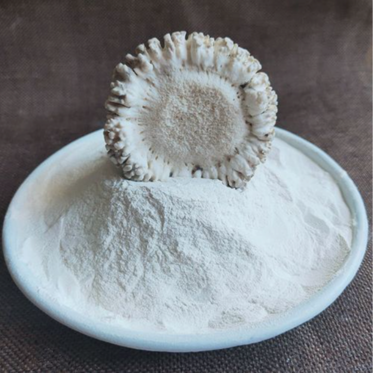 鹿角帽 洗净 打粉