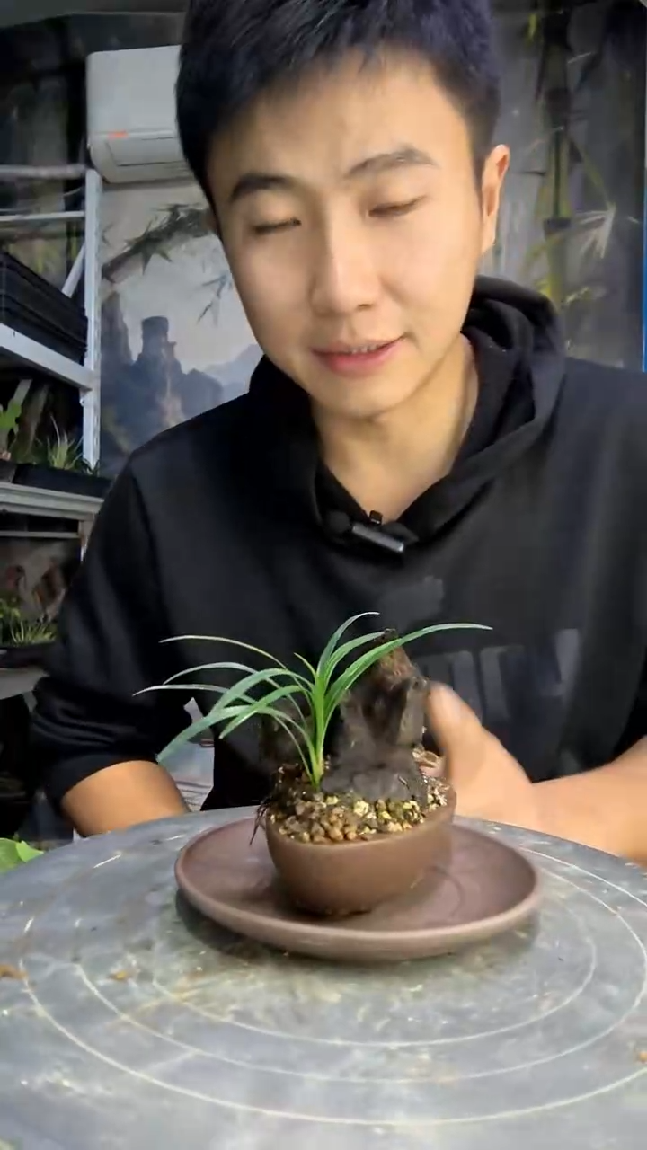 夜***夜中青园艺一物一拍154