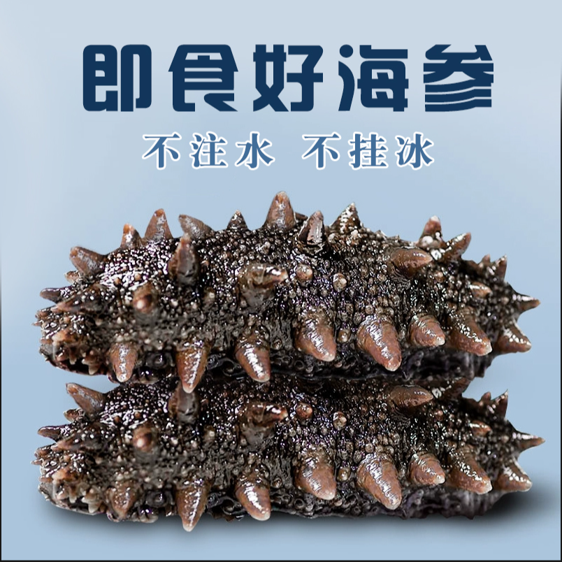 鲜食海参辽参鲜活大海参500g非干货7-9头即食海参刺参独立包装