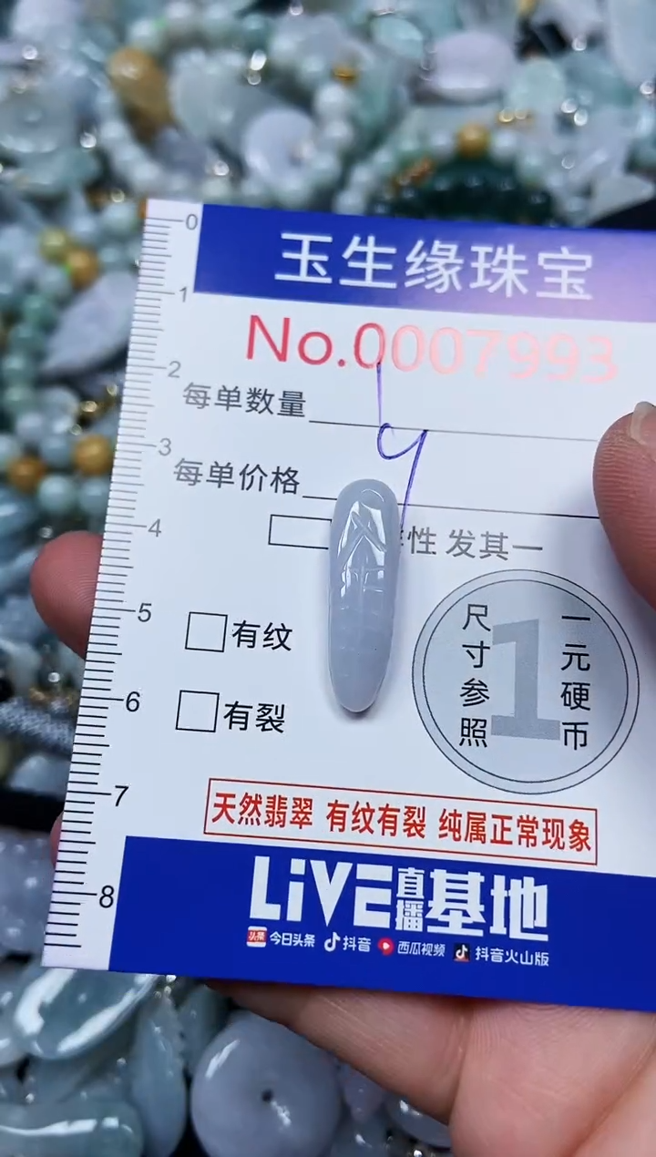 【闪购商品】翡翠颈饰未镶嵌闪购00007993