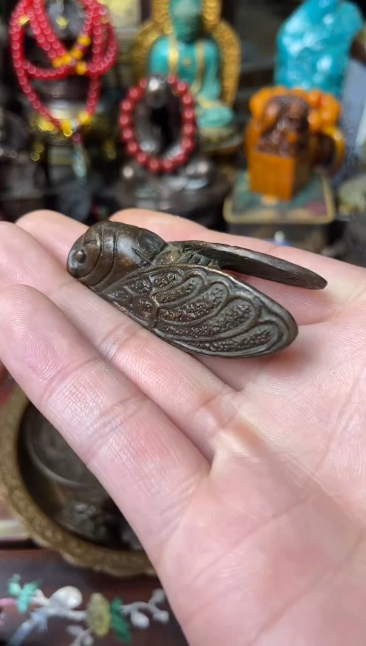 主播推荐主播推荐