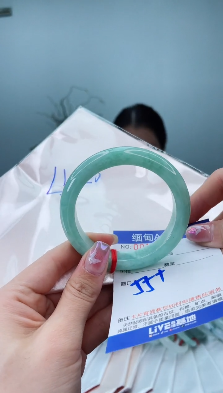 未镶嵌手镯翡翠2