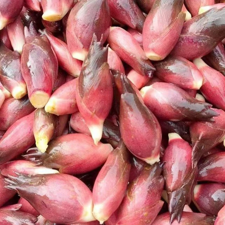 【L】【洋荷芽种子】家庭阳台小院四季可种植盆栽地栽商品图