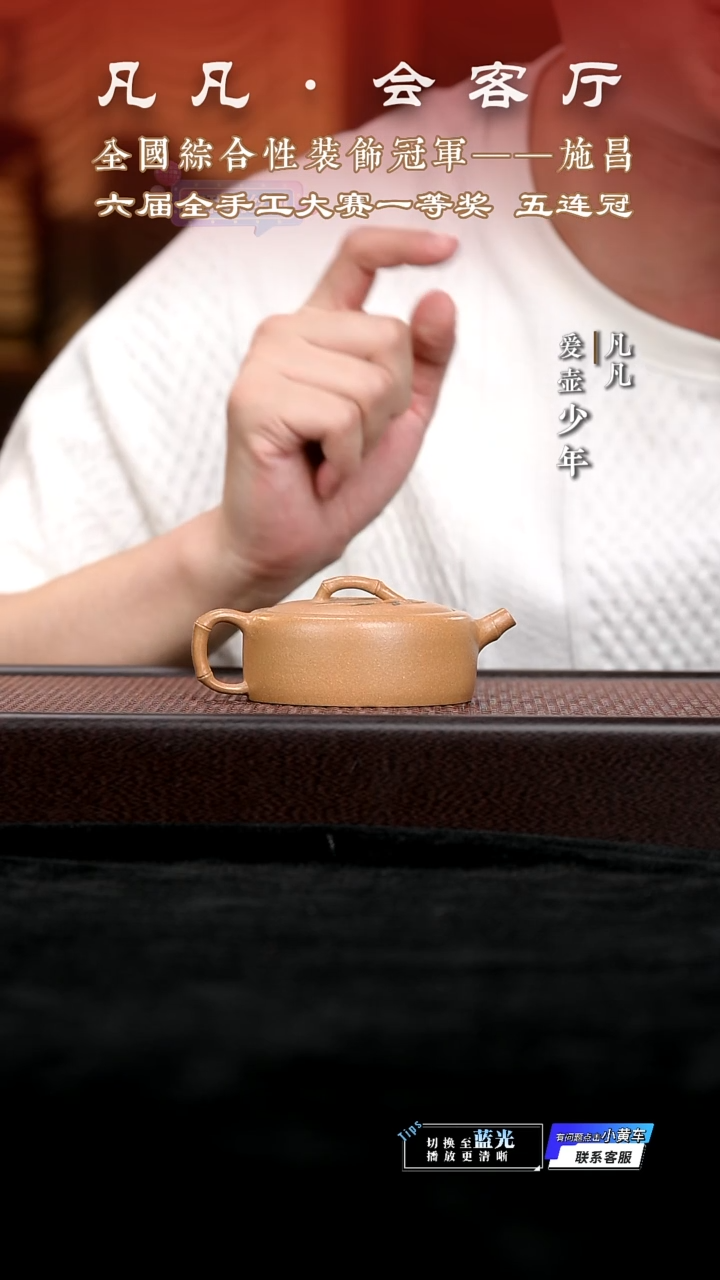 茶壶紫砂凡凡会客厅 紫砂壶16 扁竹节段泥135cc