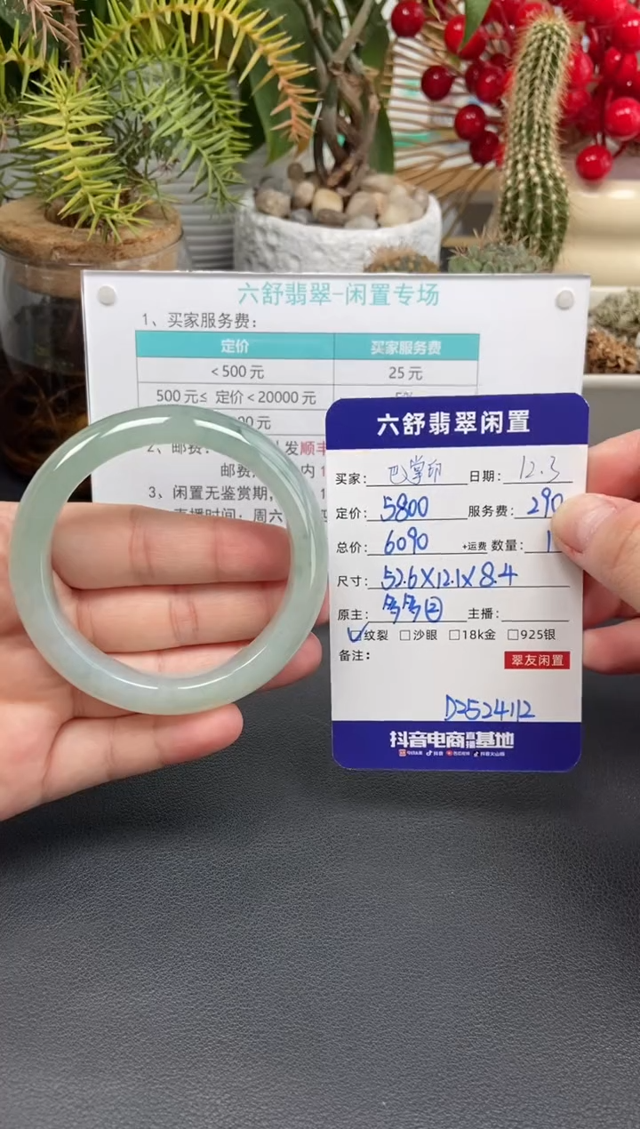 未镶嵌手镯翡翠巴*印D2524112