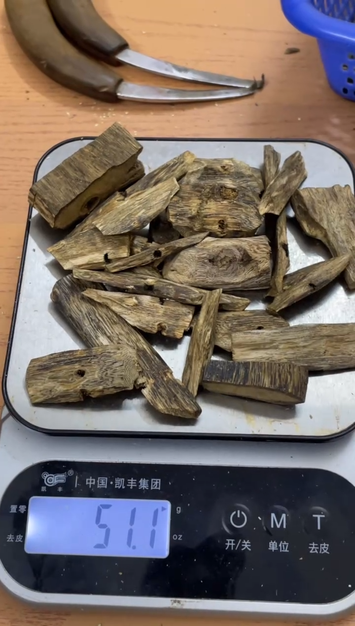 【闪购商品】沉香木沉香碎屑棋楠沉香 原料文创 多样性发货1份块料