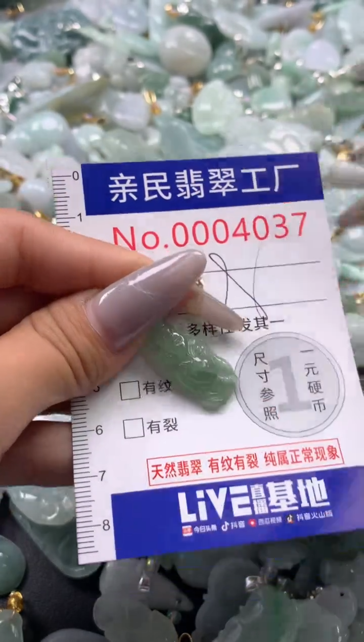 颈饰未镶嵌翡翠4037