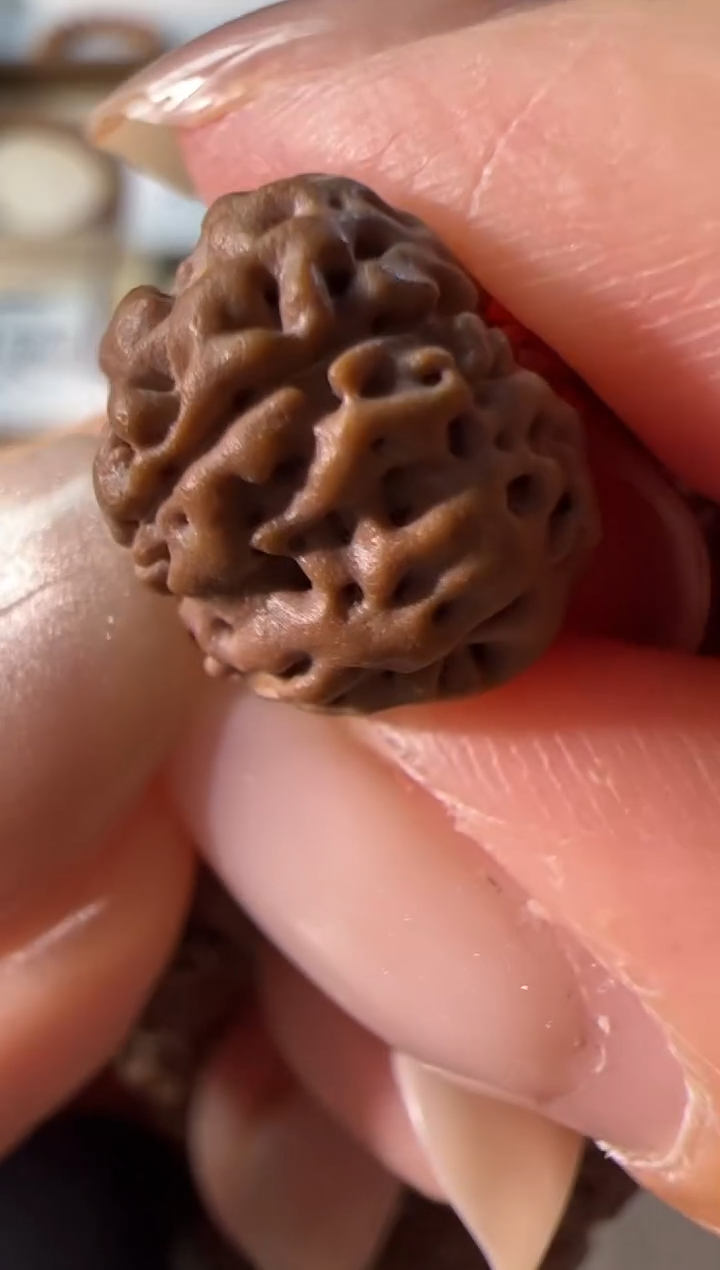 金刚菩提手串天价小平细108长串11mm左右