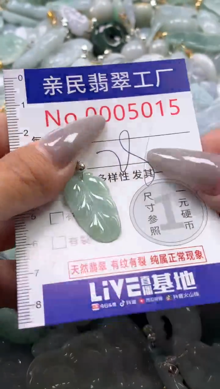 颈饰未镶嵌翡翠5015