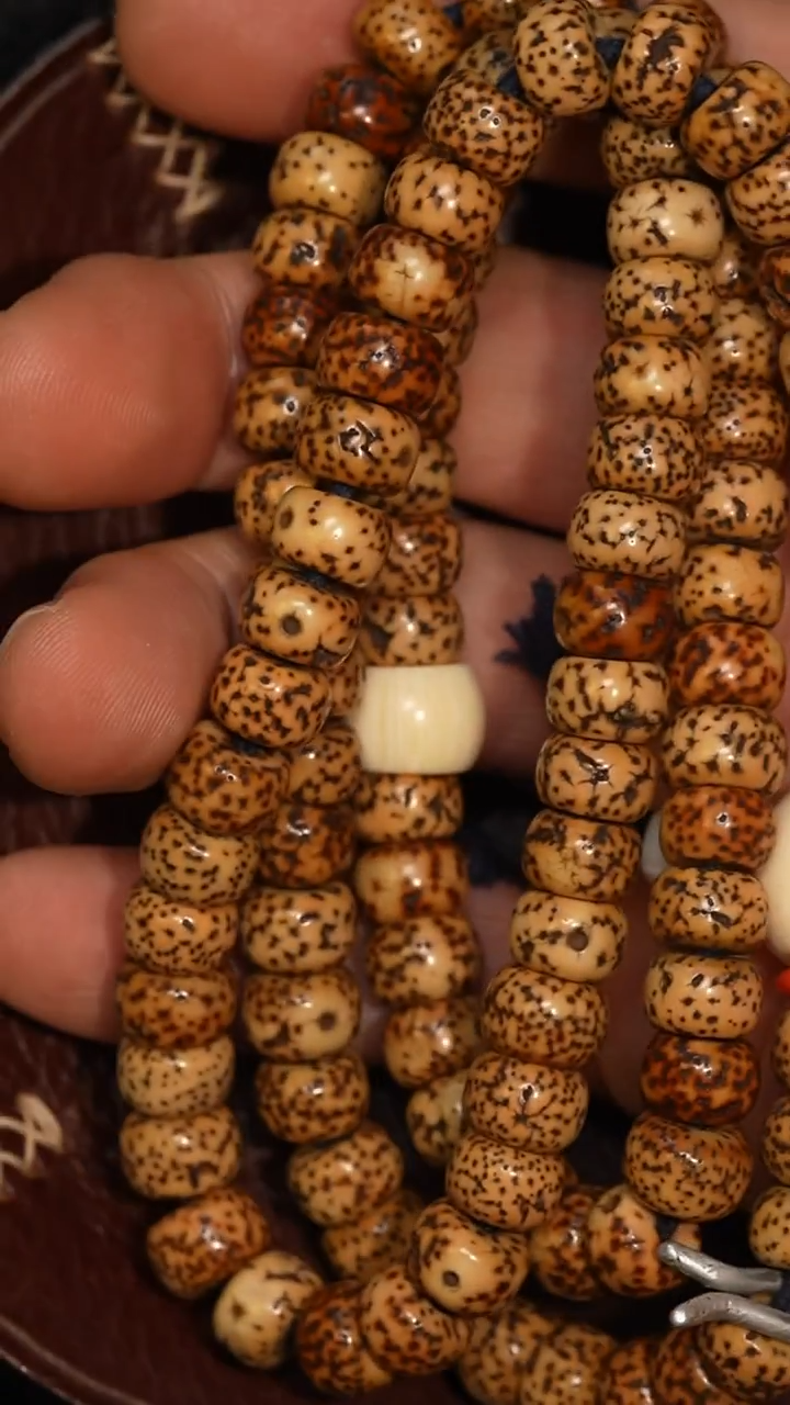 冲赛康胡子哥，藏传念珠272