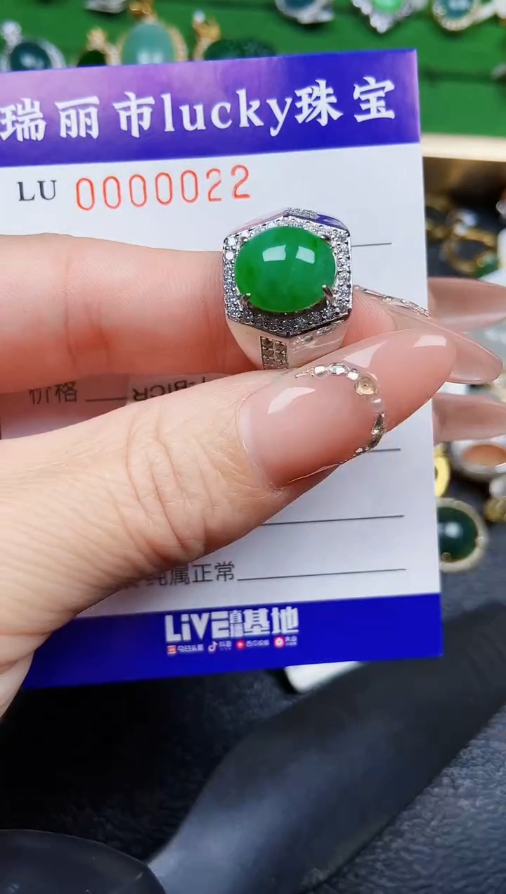【闪购商品】翡翠颈饰银S925镶嵌0022