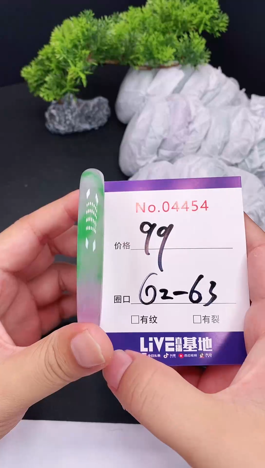 未镶嵌手镯翡翠4454