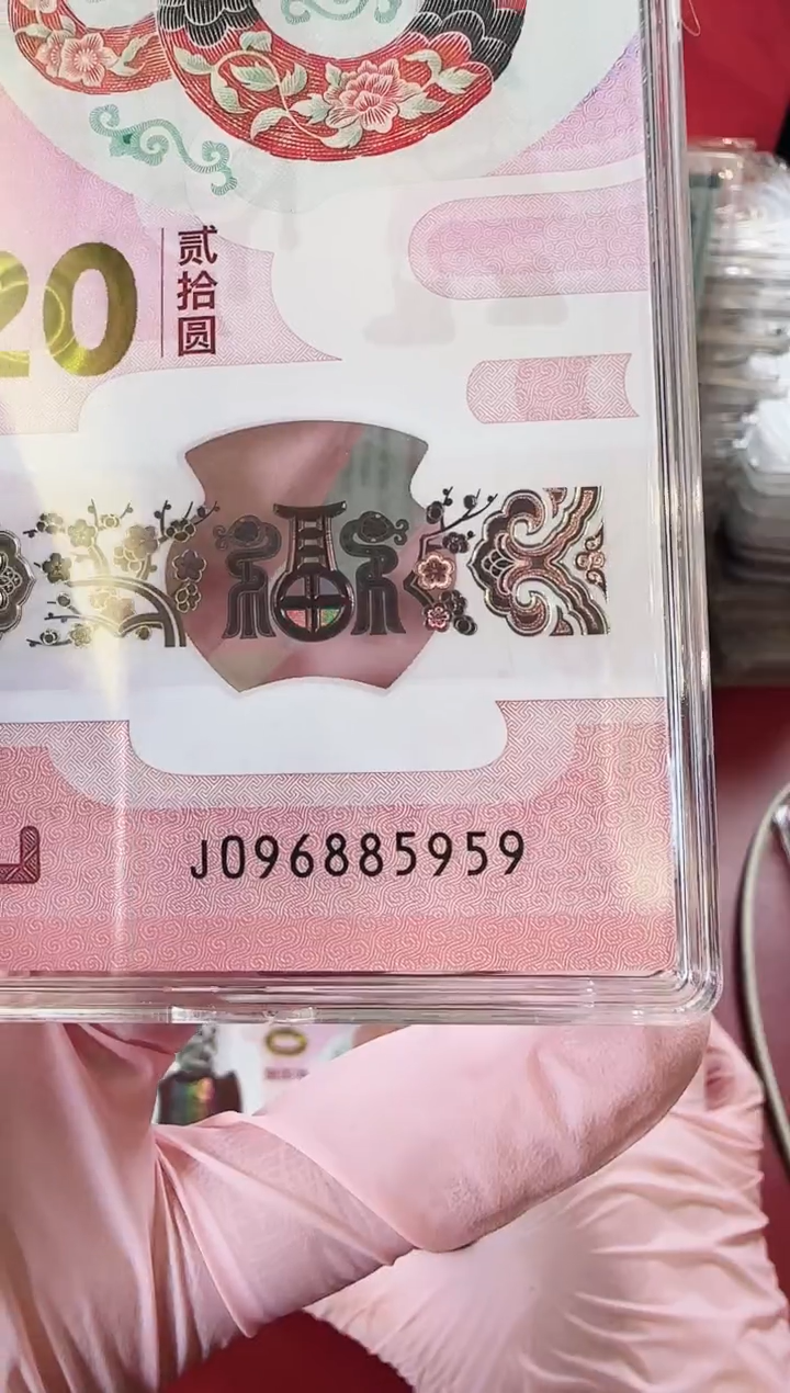 【闪购商品】塑料2025蛇钞单张啊啊啊啊啊